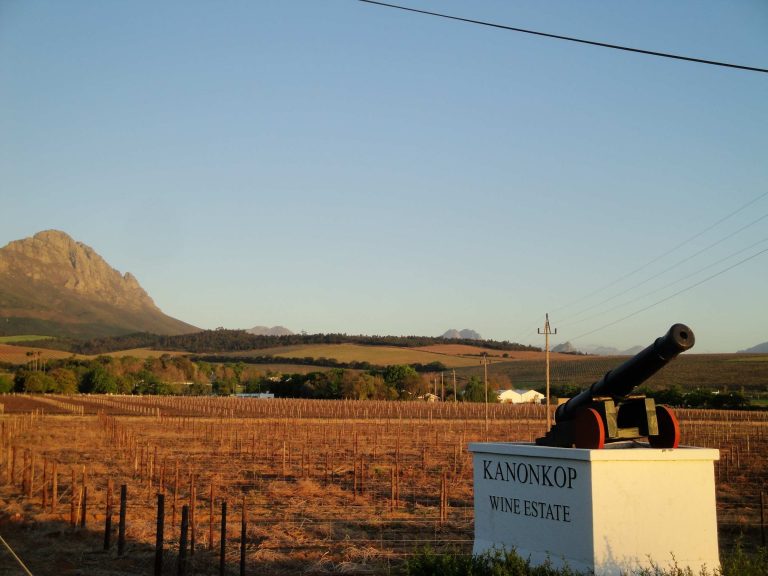 top-10-wine-farms-in-cape-town